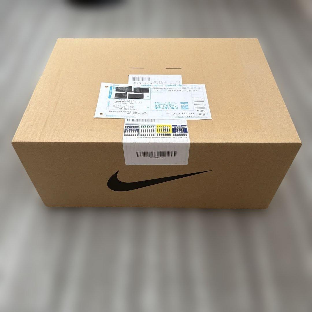 エアジョーダン1 シカゴ Lost & Found【未開封】29.0cm