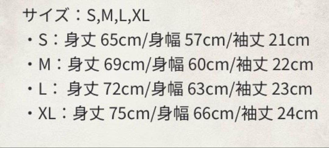 スチャダラパー　チャンピオンカーニバル　電気グルーブ　Tシャツ　L