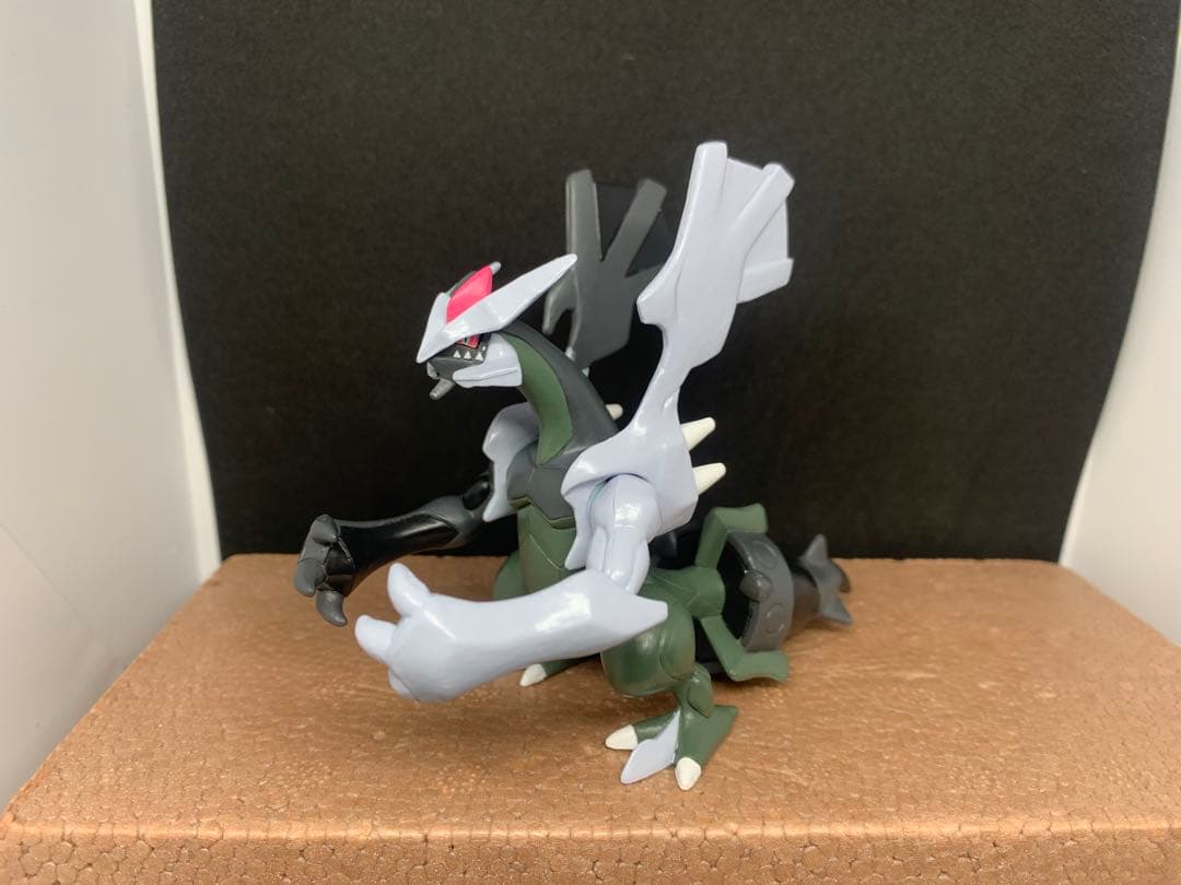 専用ページ ゼクロム ブラックキュレム