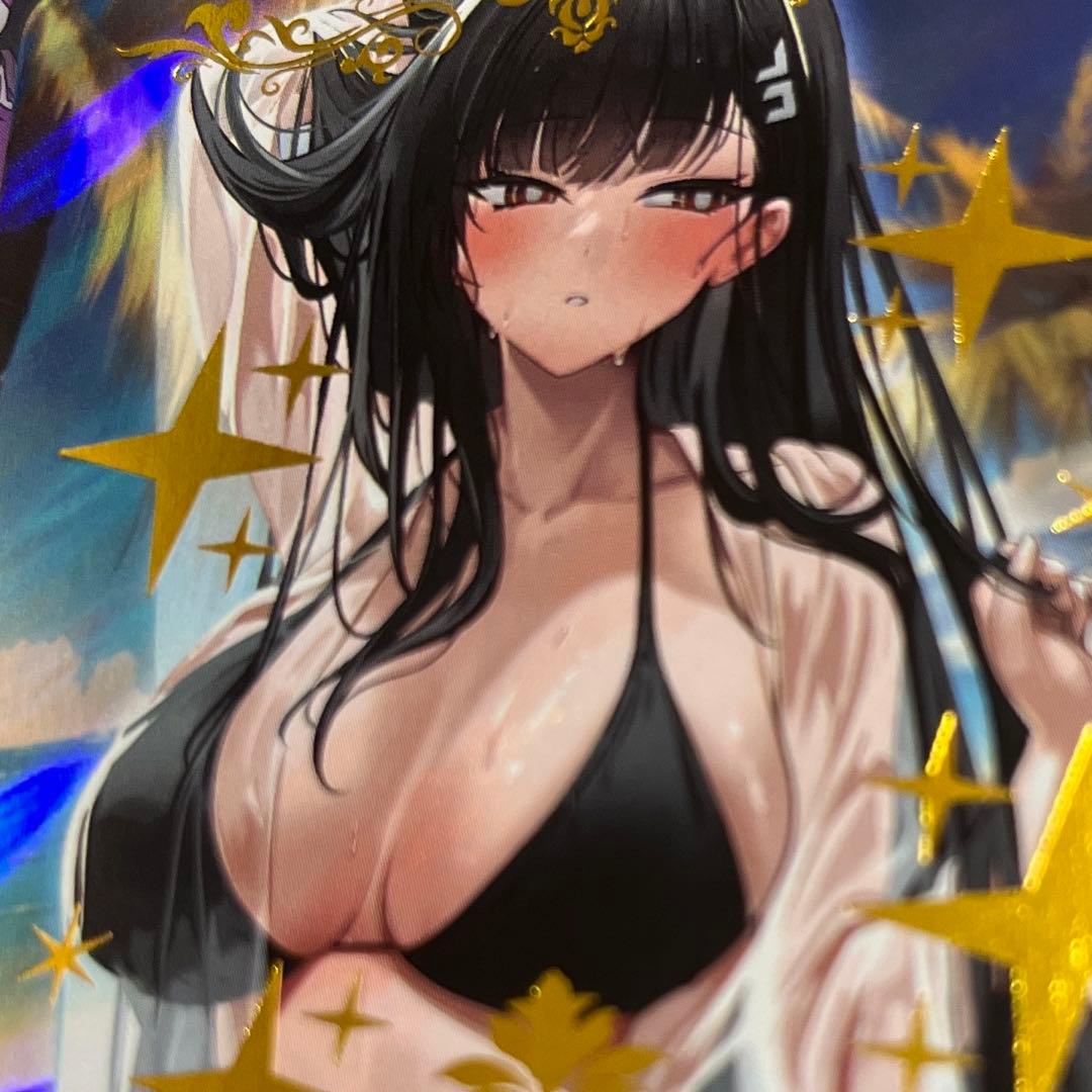 acgセクシーカード　　HAK⭐︎35      美品