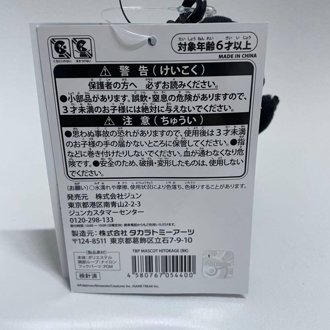 藤原ヒロシ×ポケモンTHUNDERBOLT PROJECT ヒトカゲ