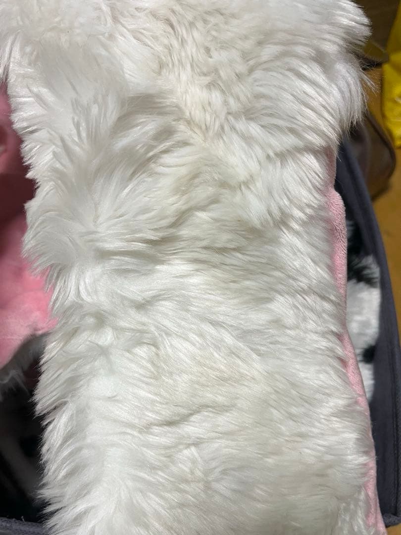 マリーちゃん ディズニー マフラーキャップ - メルカリ