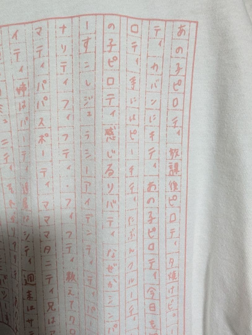 新しい学校のリーダーズ公式ピロティＴシャツ激レア！フリーサイズ