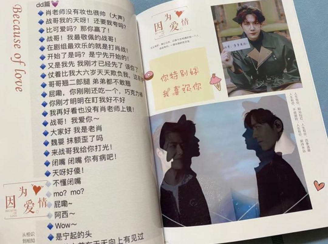 陳情令 博君一肖 【遇见爱情】語録集 肖戦 王一博 - メルカリ