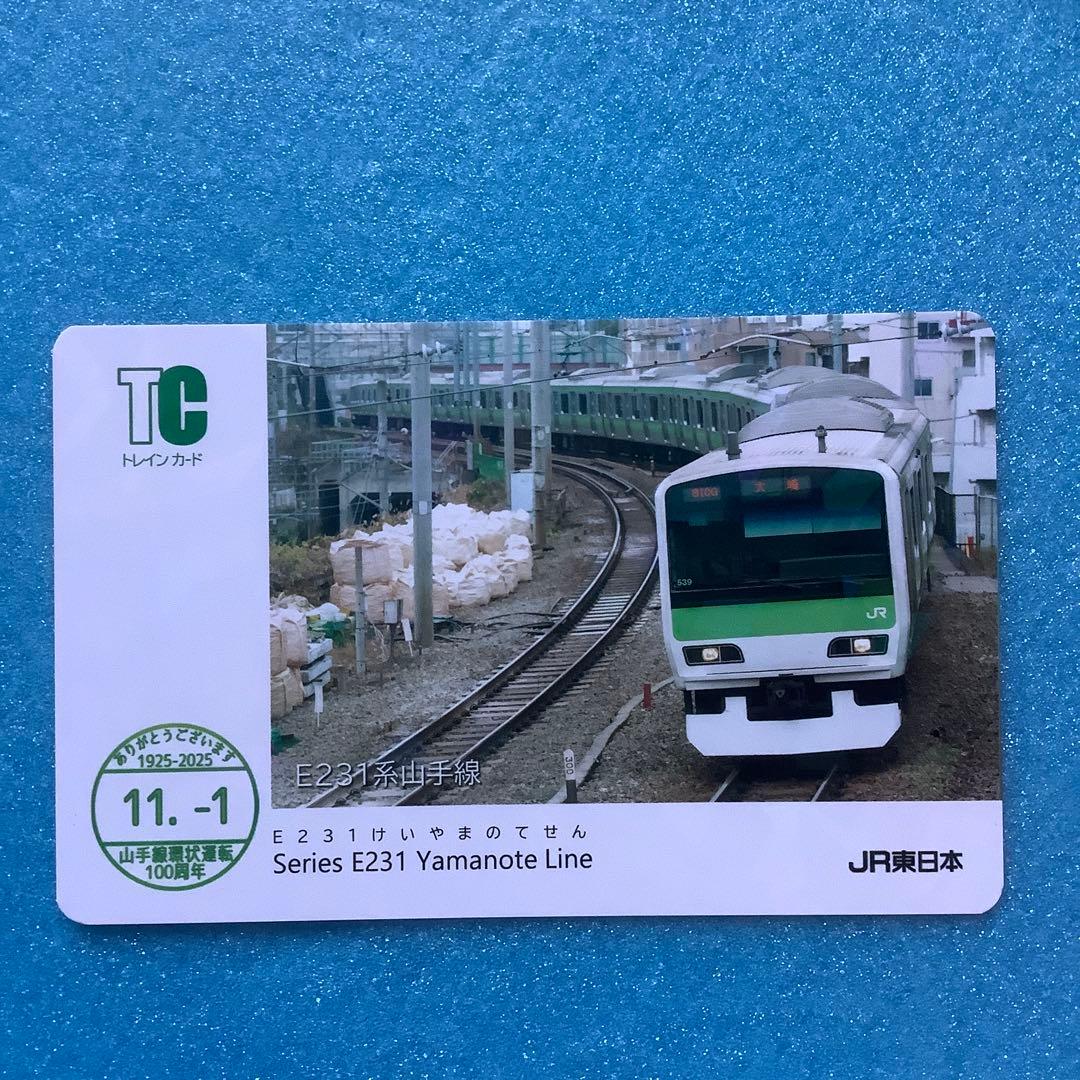 14枚フルコンプリート】山手線 環状運転100周年記念電車カード - メルカリ