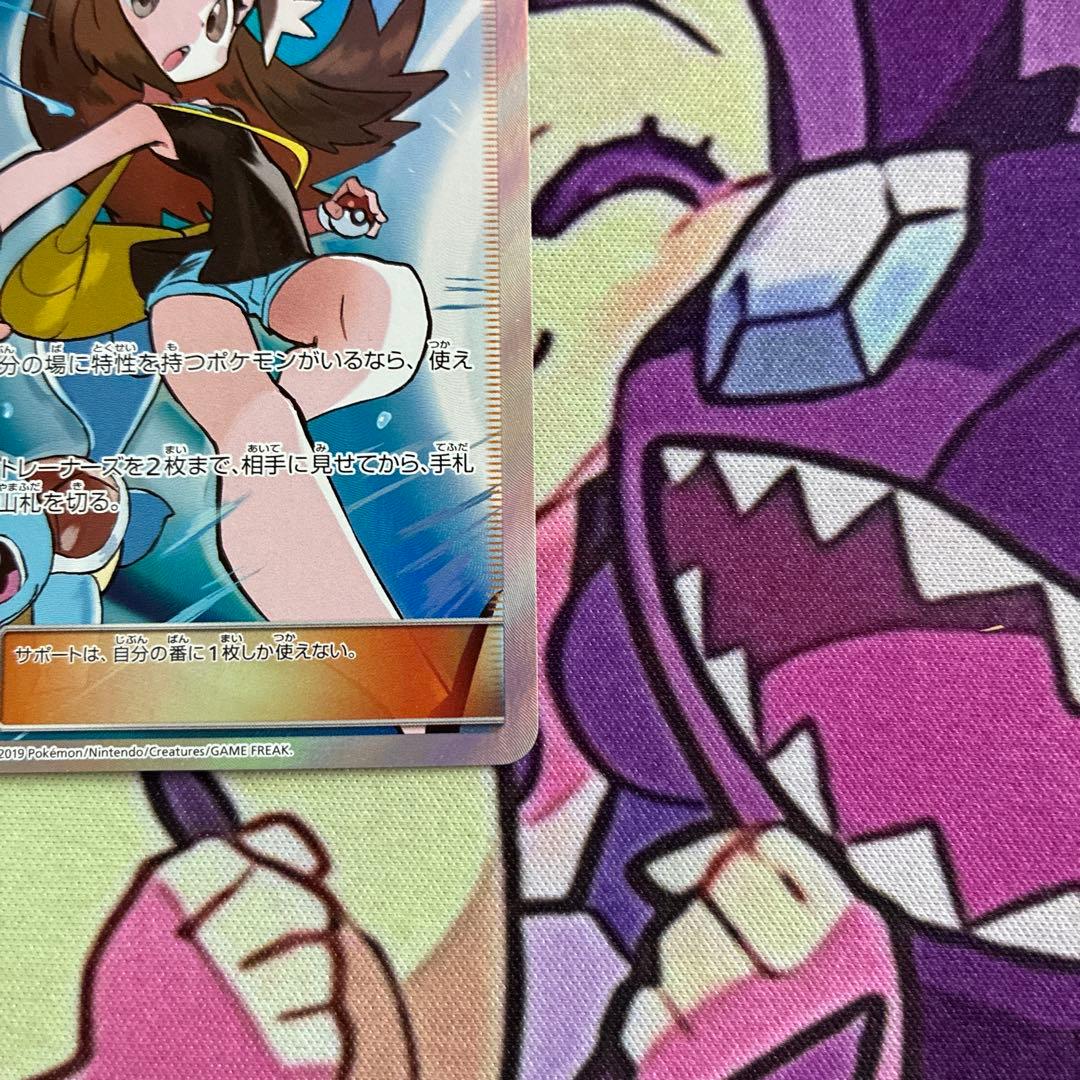 ブルーの探索 SR 亀あり