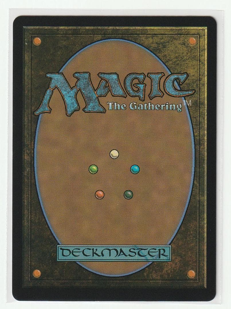 霧深い雨林 英語版 ドラゴンスケイル・Foil