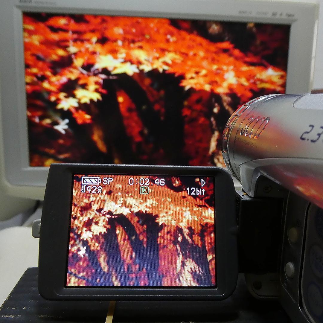 パナソニック NV-GS200 動作良好 MiniDVビデオDVDダビングに最適