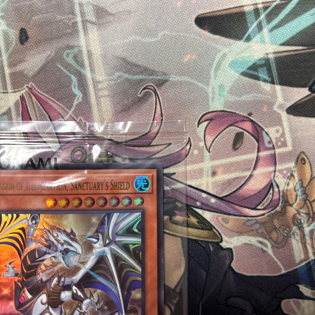 日本選手権2025 2期 優勝プロモ