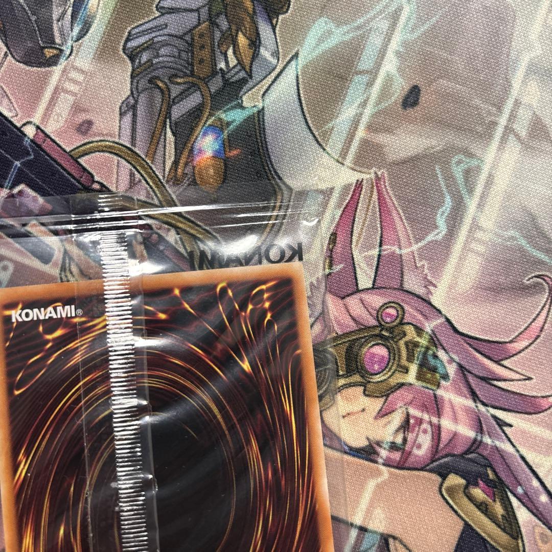 日本選手権2025 2期 優勝プロモ