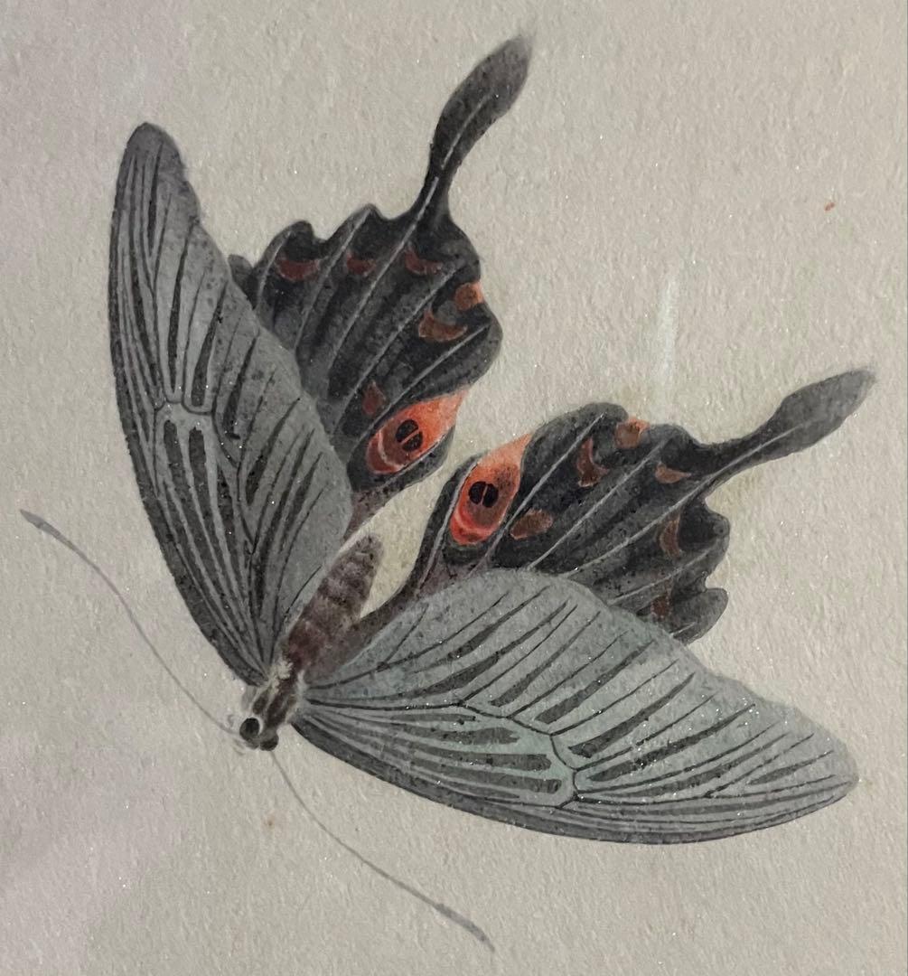 永武哲彌　道行　蝶々　ぼたん　共シール　10号