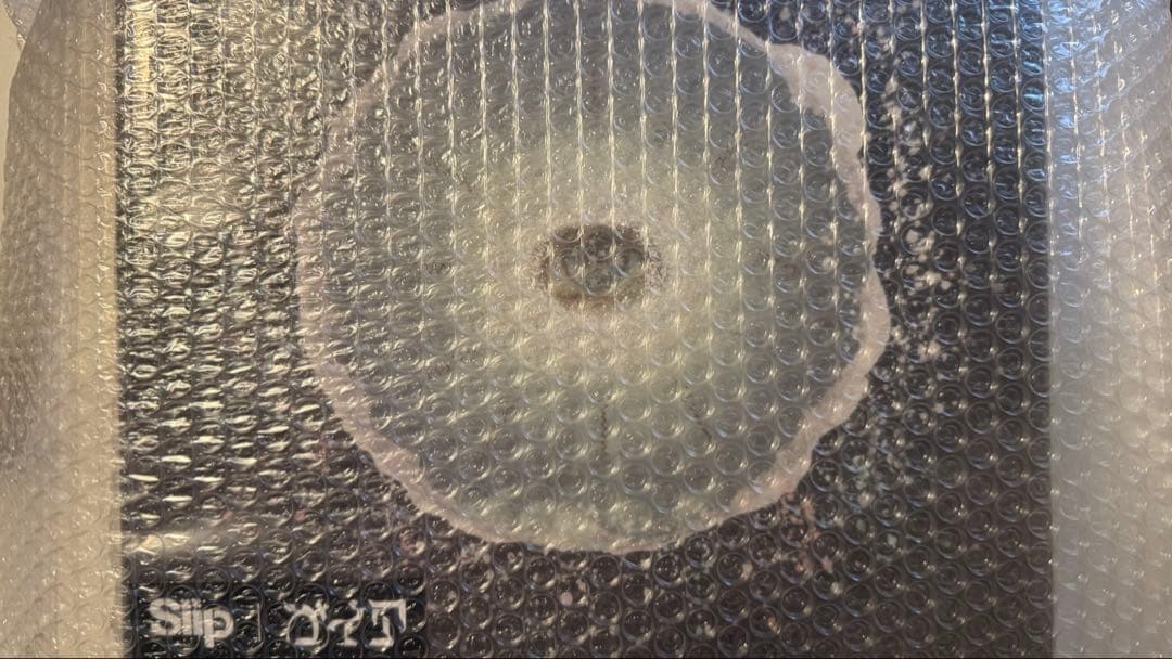 【フルセット】ガイア完全生産限定盤カード＋GOODS