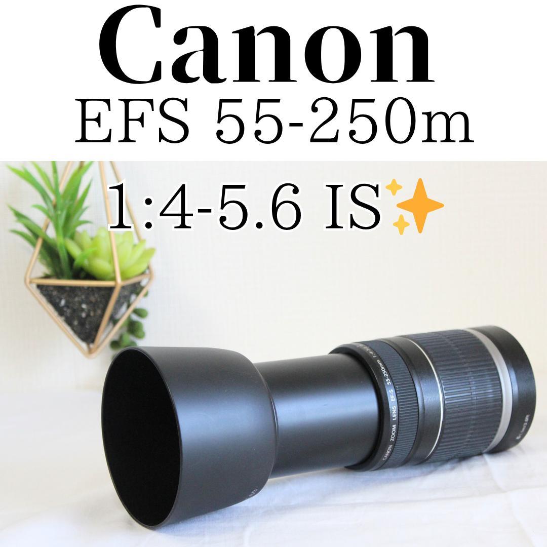 レンズ(ズーム) Canon EFS 55-250m 1:4-5.6 IS 交換レンズ実写ギャラリー：キヤノンEF-S 55-250mm F4-5.6 IS STM