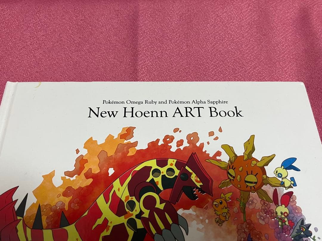 ポケモン オメガルビー アルファサファイア 特典 アートブック 画集