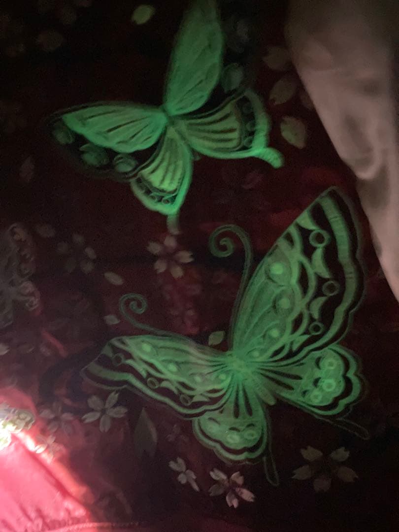 美品 流儀圧搾 雅結 スカジャン 蝶&桜 赤 刺繍蓄光