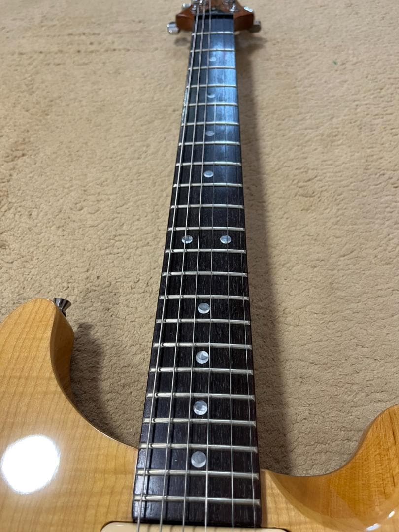 希少】PRS SE Cnstom 22 セミホロウ P-90タイプ - メルカリ