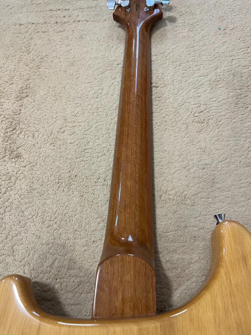 希少】PRS SE Cnstom 22 セミホロウ P-90タイプ - メルカリ