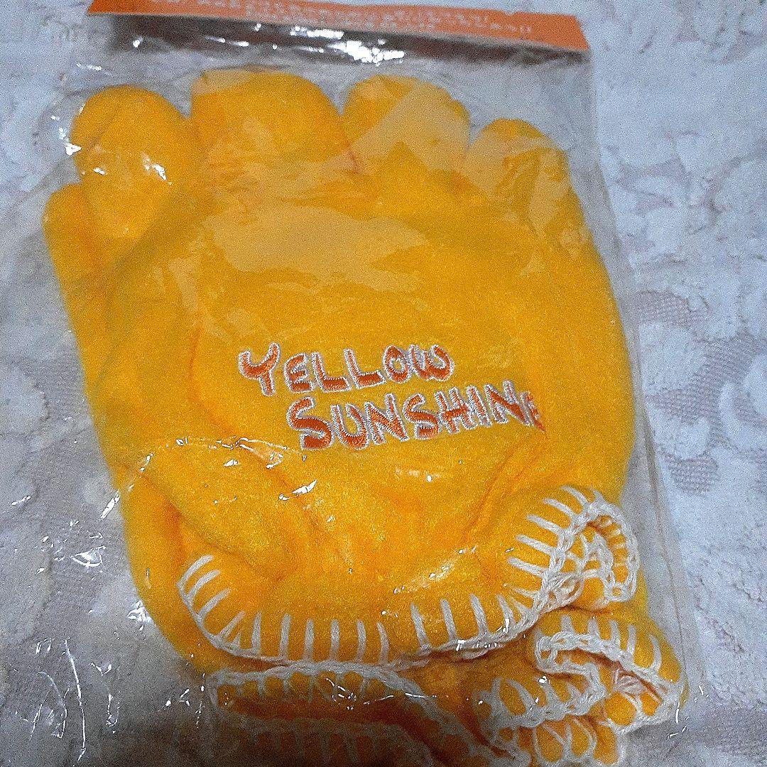 ミュージシャン THEALFEE