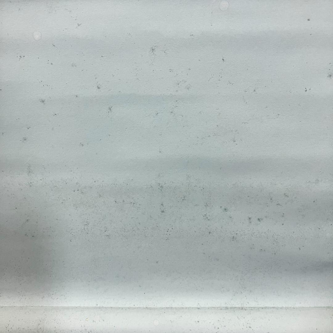 4184 平野宗紀(黙厓)「南無阿弥陀佛」 共箱 肉筆 紙本 書 掛軸 臨済宗