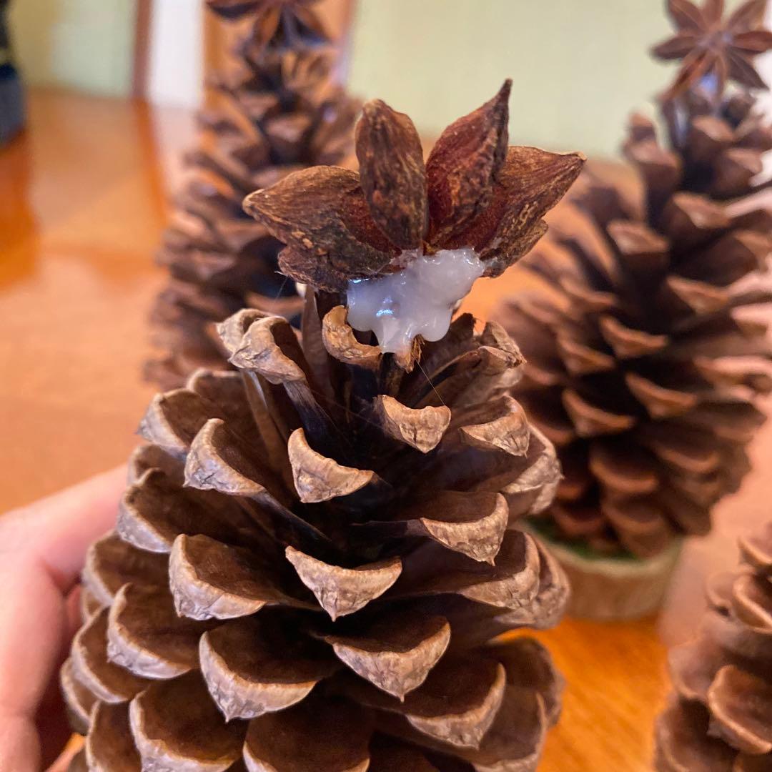 ⚠️専用品⚠️ 大王松 の 松ぼっくりツリー 土台付き ツリー