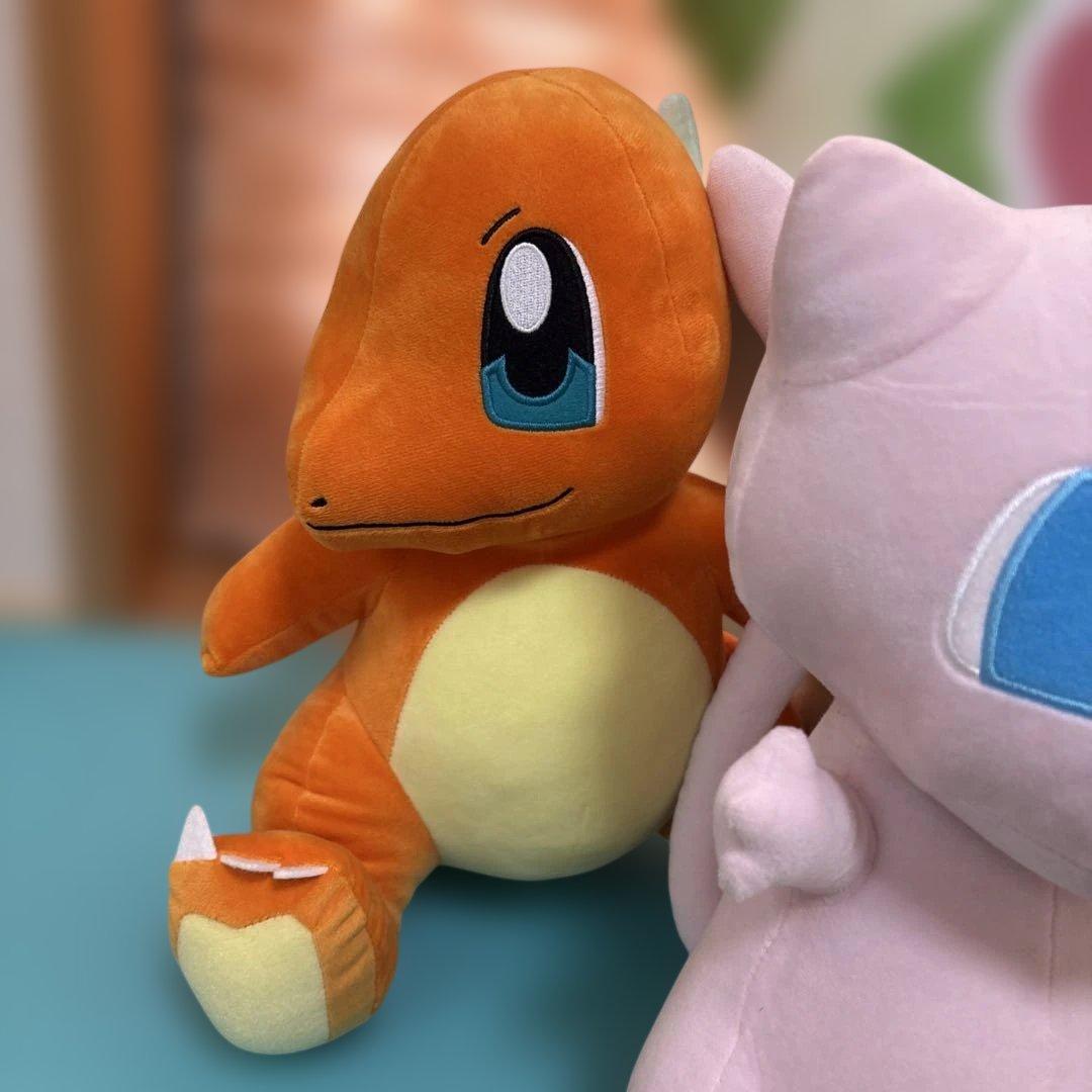 ポケモン ぬいぐるみセット 中型