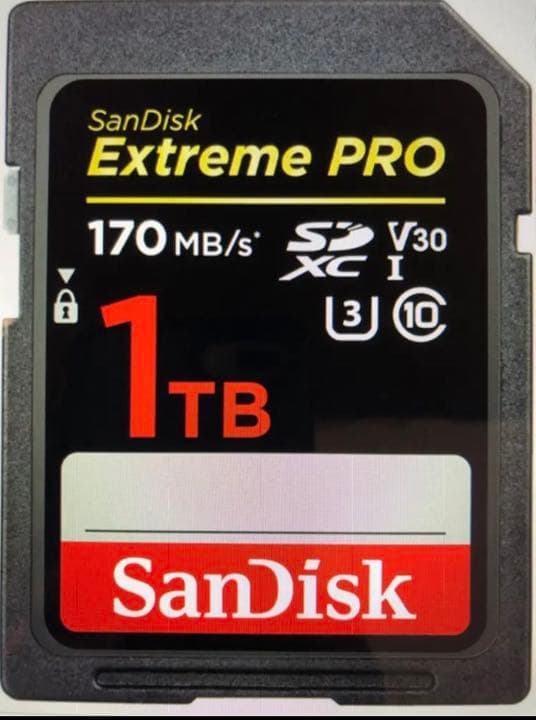 その他 SANDISK SDSDXXY-1T00-JNJIP [1TB] 楽天市場】sdsdxxy-1t00-jnjipの通販