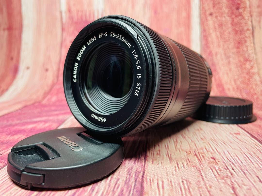 CANON キャノン EF-S 55-250mm 1:4-5.6 IS STM キヤノン（Canon） 望遠レンズ 未使用品 保証 EF-S 55-250mm F4-5.6 IS