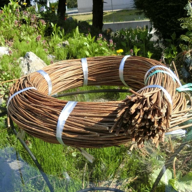 青森岩木山採取　あけび蔓　150cm～ 1.5kg