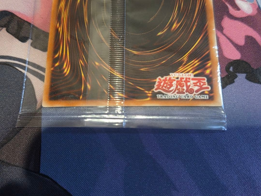遊戯王　女戦士カナン　wcs　未開封　アジア