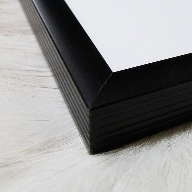 額装済/黒と白/マン レイ