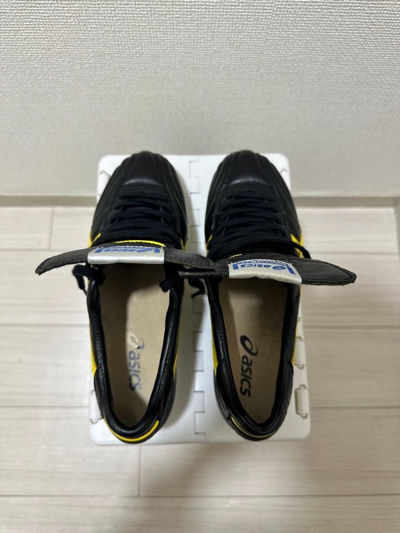 【美品】25.0cm ASICSインジェクター2002限定カラー復刻版