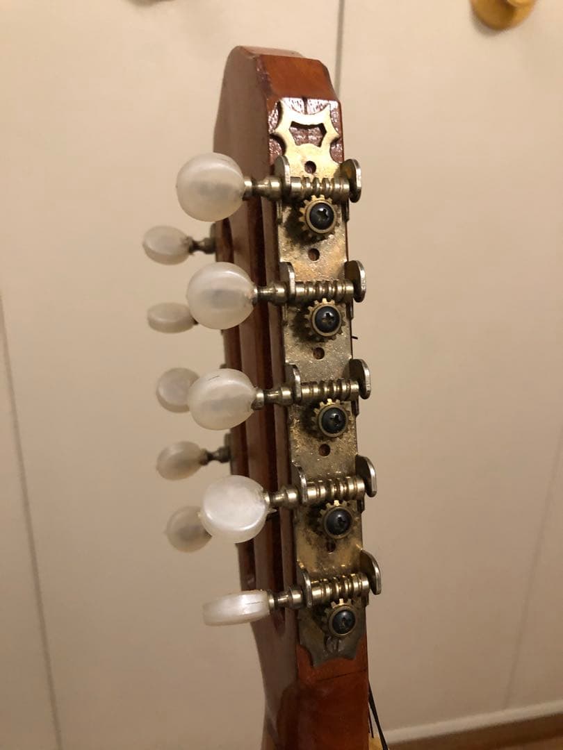 ◇チャランゴ ◇南米弦楽器 ◇ケースとストラップ付き◇フォルクローレ