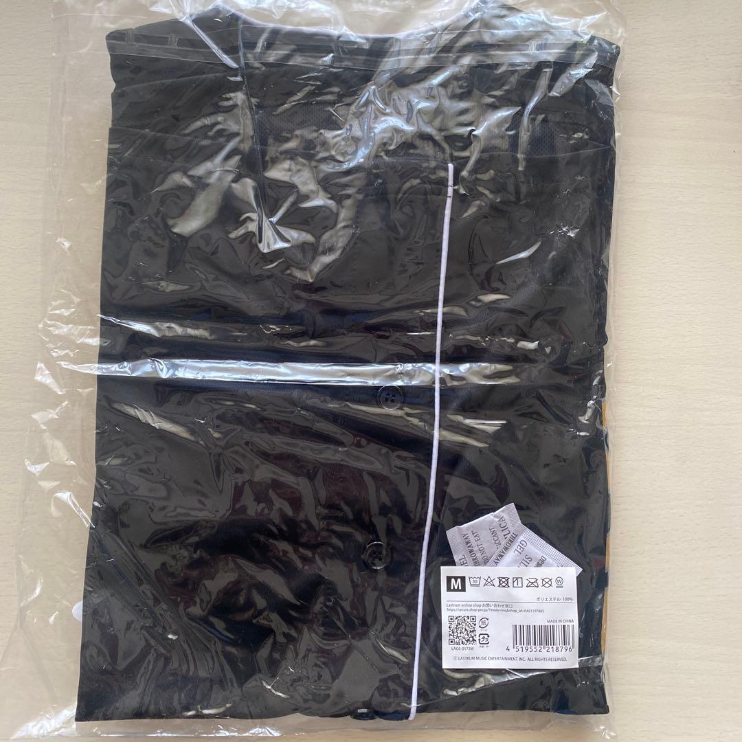 ヒゲダン　10周年　Mサイズ ベースボールシャツ