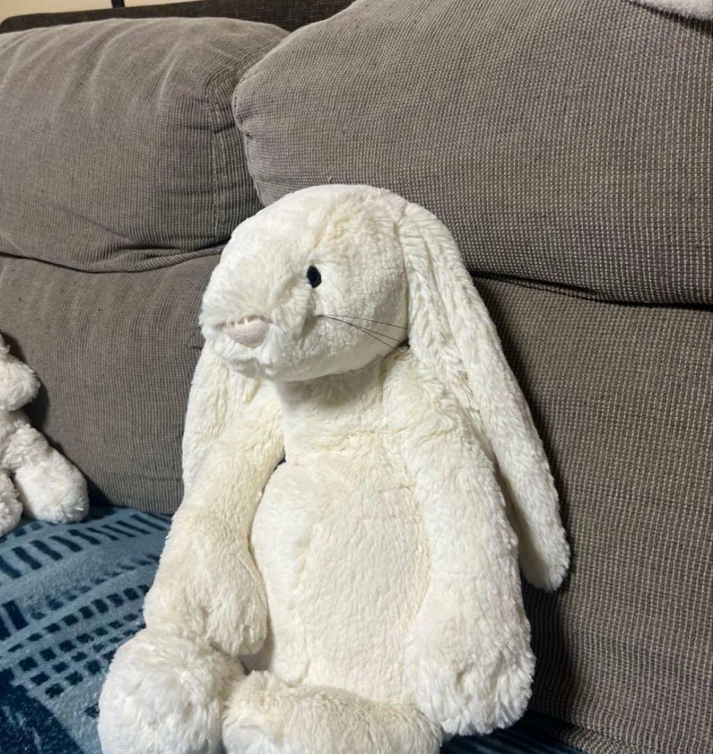  Bashful Bunny largeヒゲ 廃盤 旧型