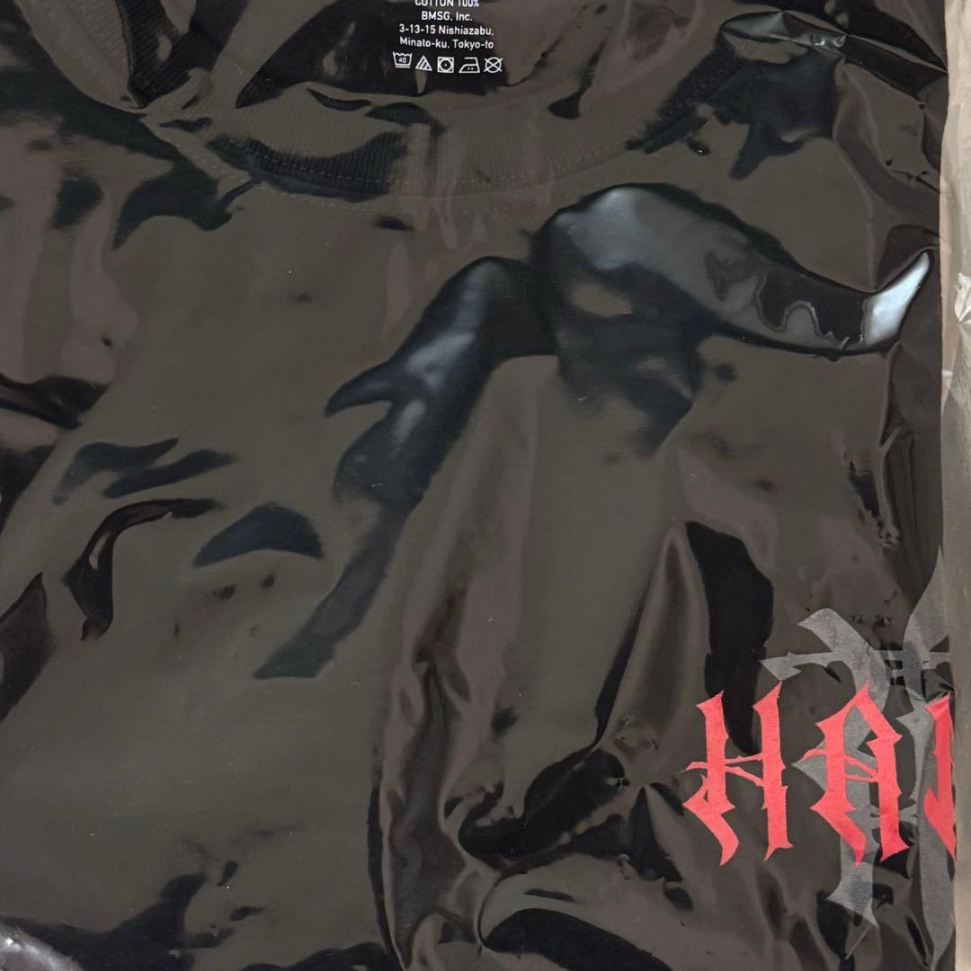 【即日発送】 HANA ロゴTシャツ Sサイズ