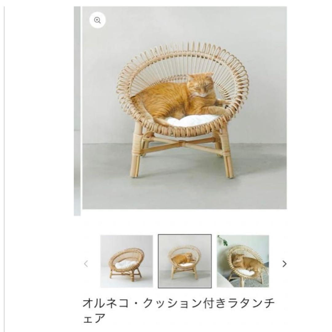 オルネコ ラタンチェア 椅子 白クッション付き 猫ベッド 木製 キャット