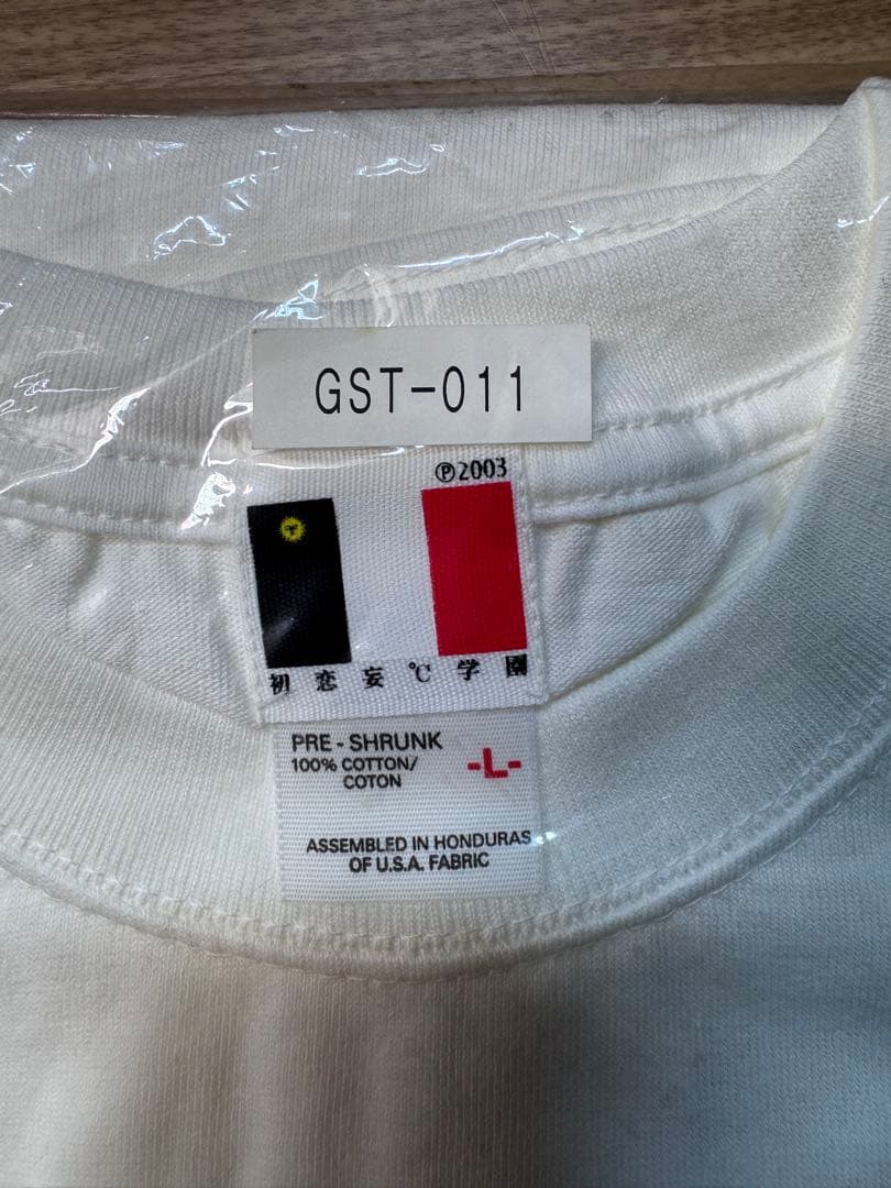 【新品未使用】GOING STEADY Tシャツ