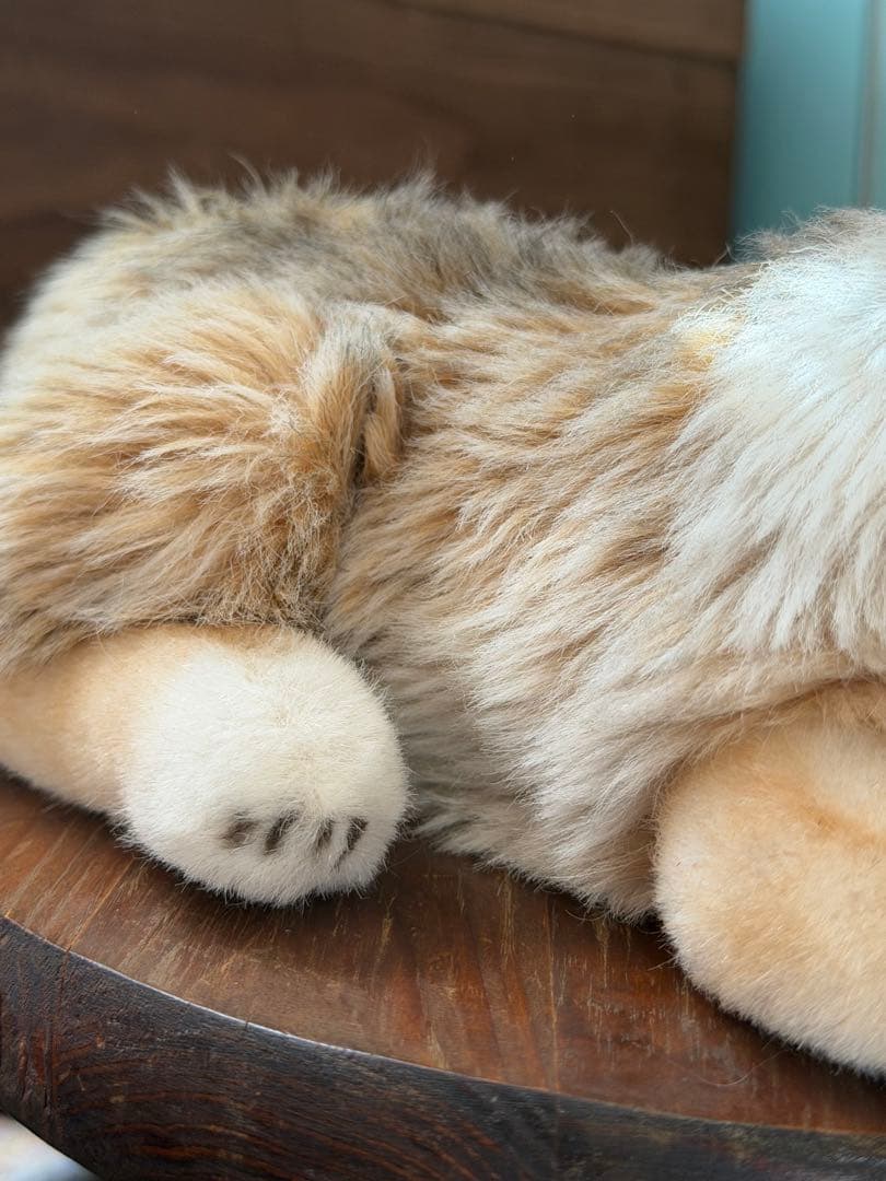 シュタイフ　コリー　オールドシュタイフ