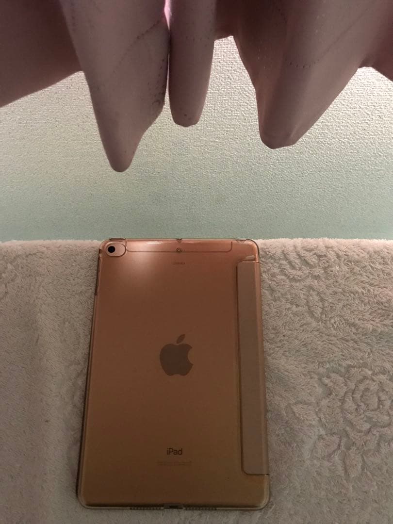 超美品iPad mini 第5世代 Cellular 256GBオマケ沢山付き - メルカリ