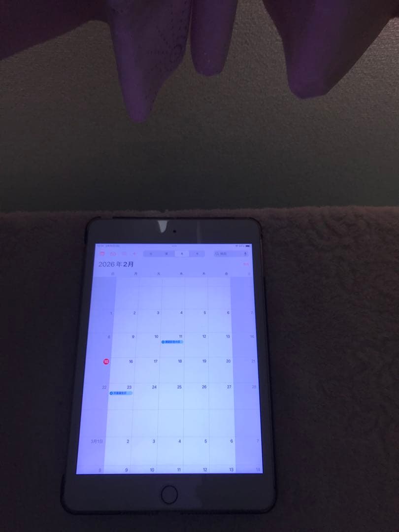 超美品iPad mini 第5世代 Cellular 256GBオマケ沢山付き - メルカリ