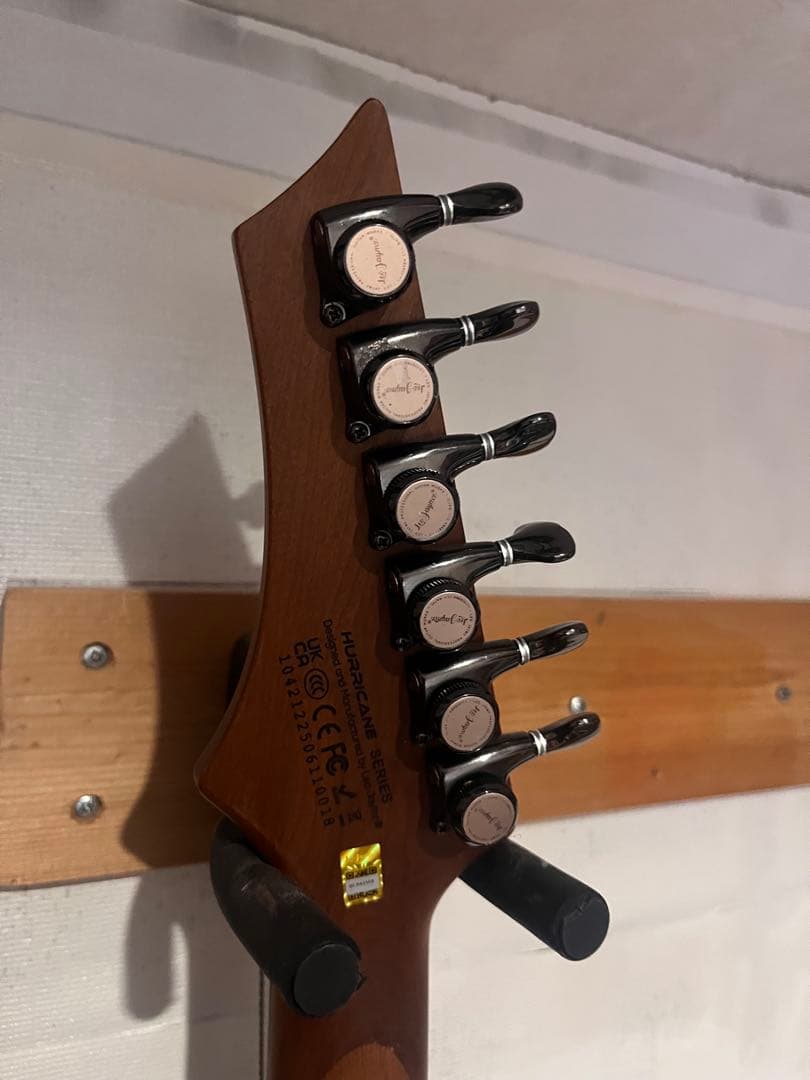 Leo Jaymz エレキギター