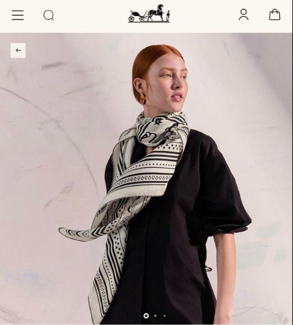 エルメス カシシル カレジェアン カシミヤ シルク アマゾンの祭典