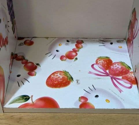 激レア！ハローキティ　フリーボックス　ロング　フルーツ柄　サンリオ　2002年