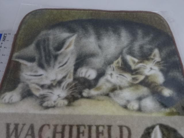 専用　ミニタオル　ハンカチ　母さん　アート　非売品　わちふぃーるど　ダヤン　猫