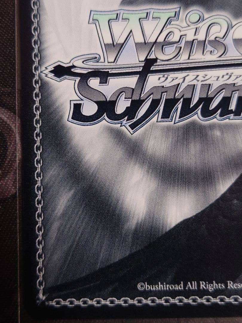 運命に導かれた坂道 sp サイン ヴァイスシュヴァルツ