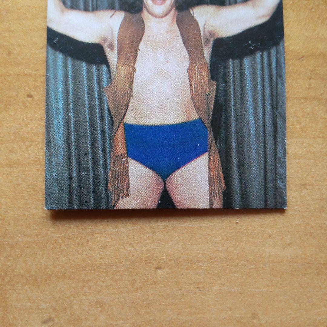 希少品 新日本プロレス「アンドレ・ザ・ジャイアント ミニカード