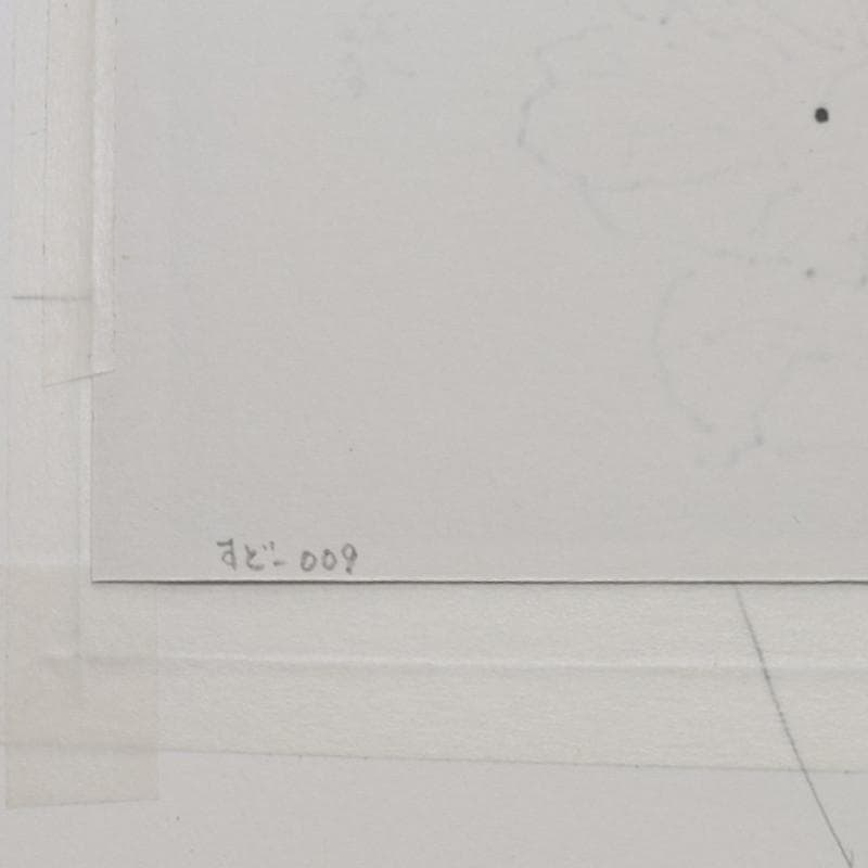 ☆坂本直行☆「 送毛産 エゾノリユウキンカ 」ペン画 太子サイズ 未