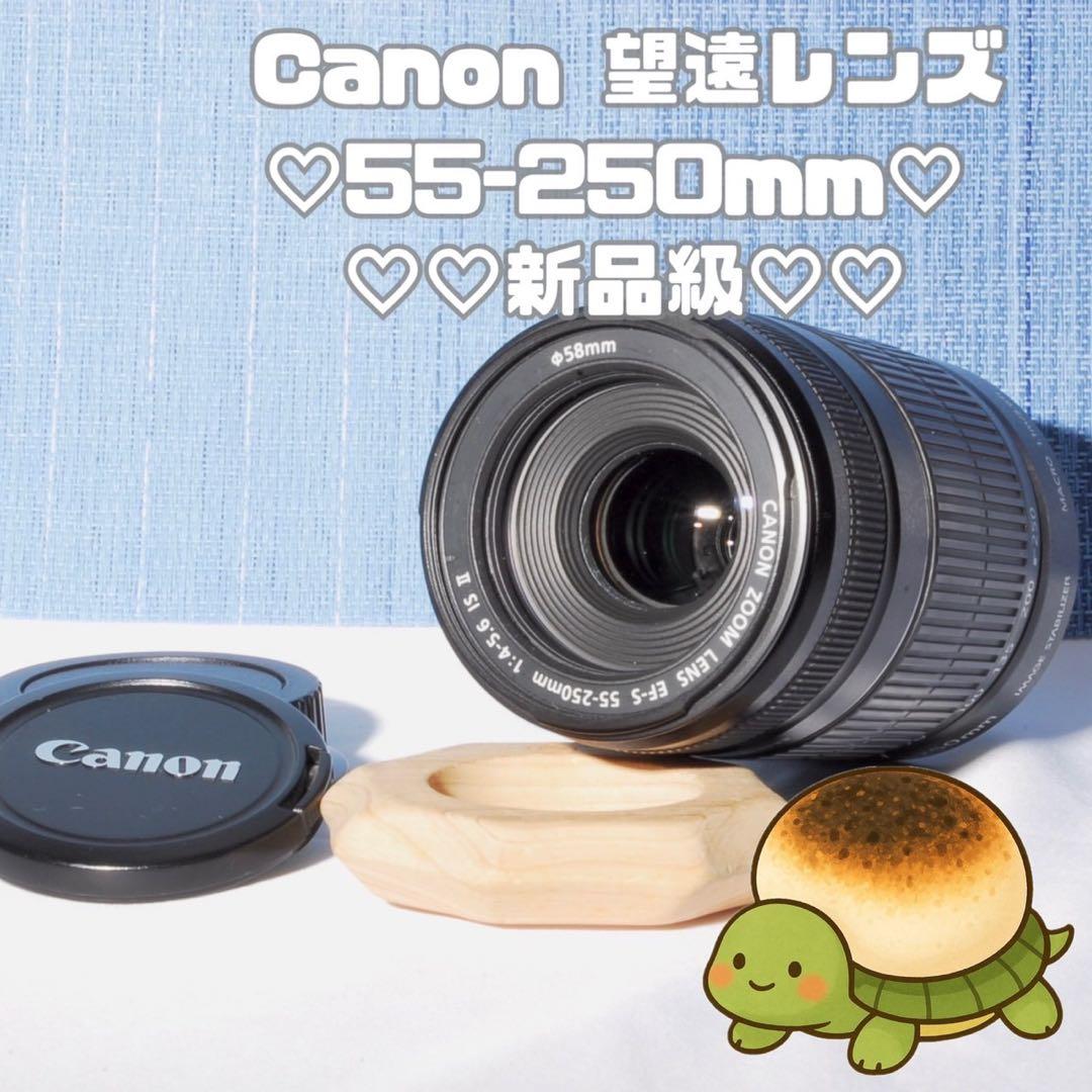 ⭐️超美品‼⭐️ キャノン EF-S 55-250mm 4-5.6 ISⅡ Amazon.co.jp: Canon EF-S55-250mm F4-5.6 IS II 【白箱タイプ