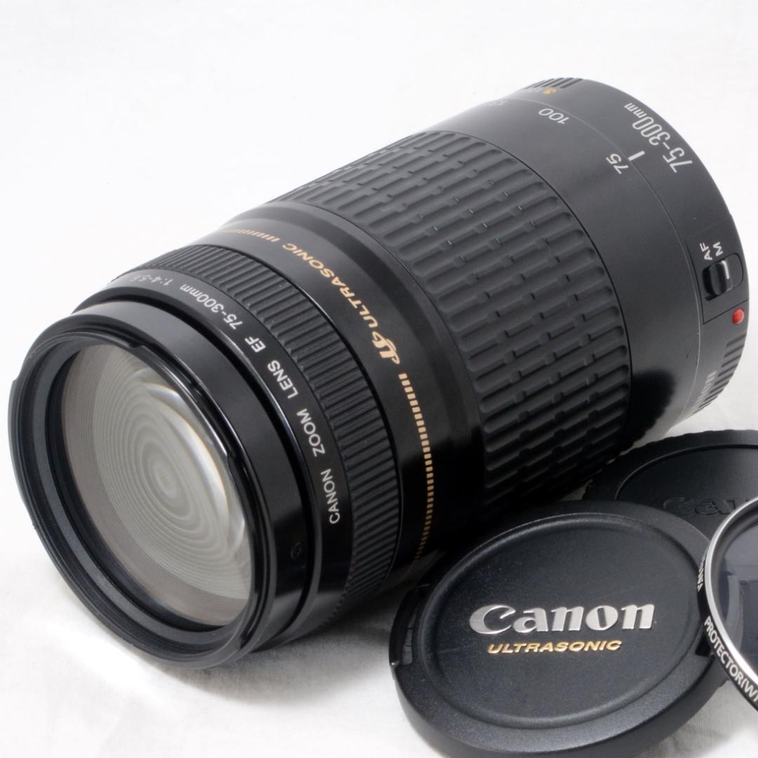 ⭐️良品⭐️Canon キャノン EF 75-300mm F4-5.6 USM Amazon | Canon EF 75-300mm F4-5.6(3)USM | カメラ用交換レンズ 通販