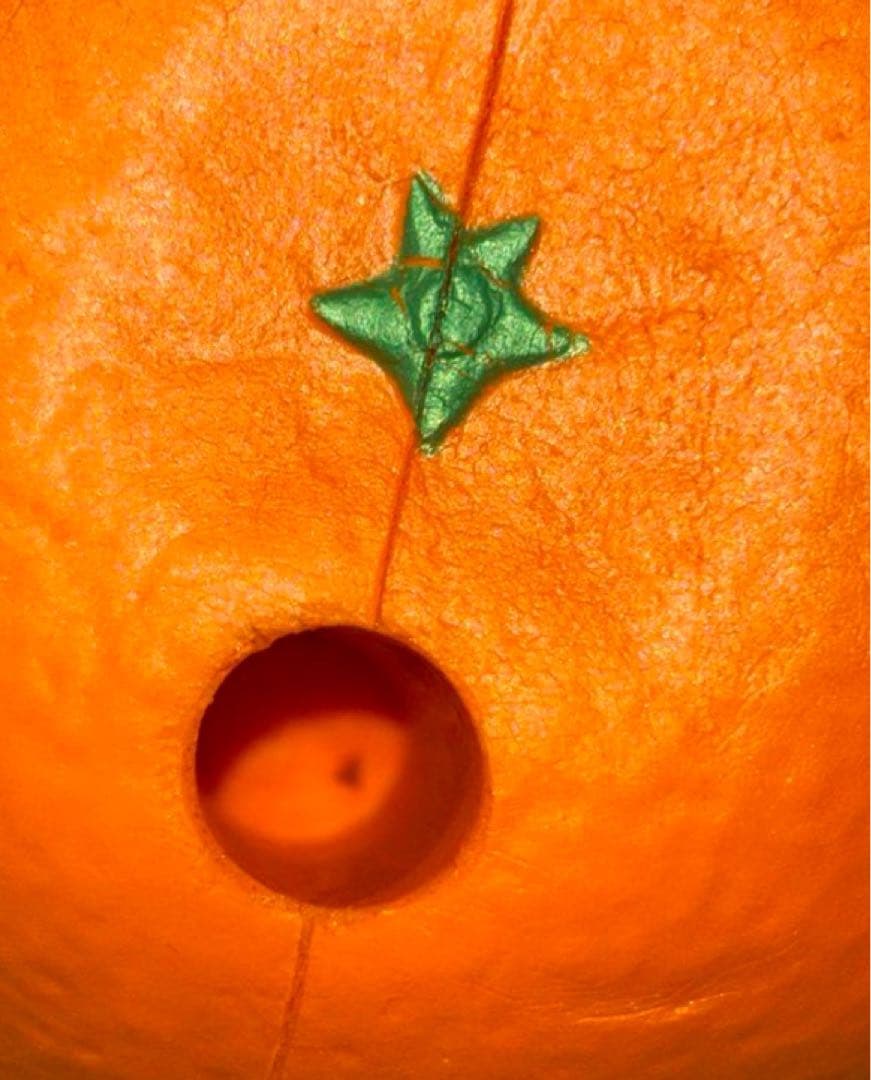 BLOOMスクイーズセット